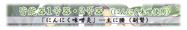 にんにく味噌灸　主に腰（副腎）